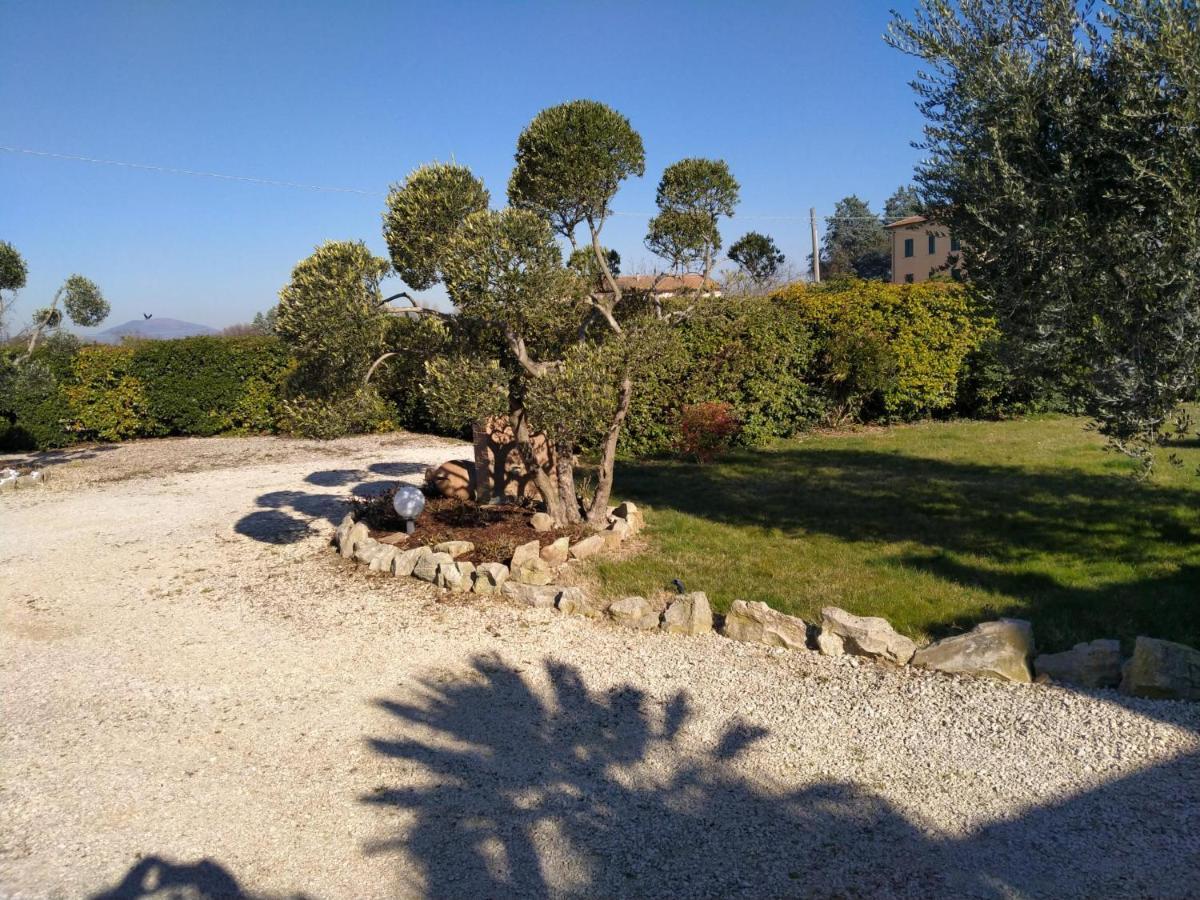 La Perla di Assisi Hotel Bagian luar foto