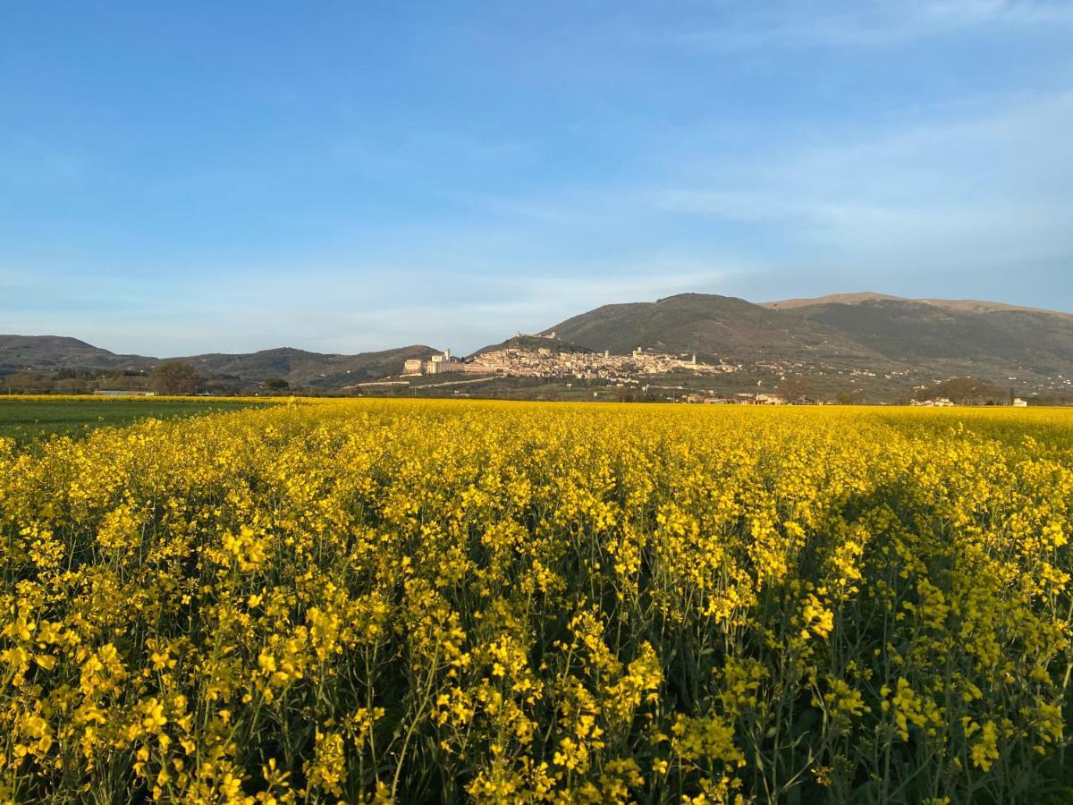 La Perla di Assisi Hotel Bagian luar foto
