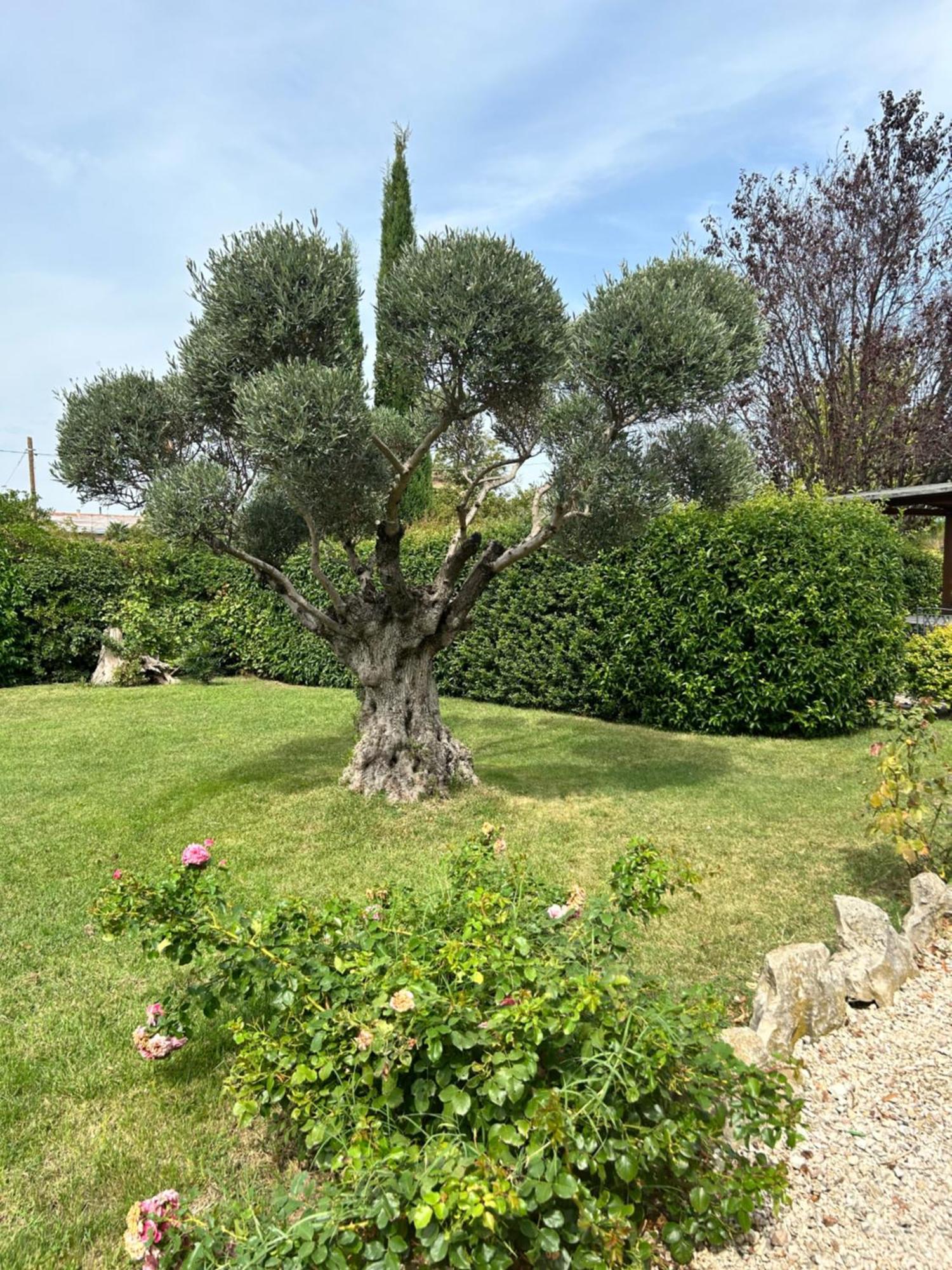 La Perla di Assisi Hotel Bagian luar foto